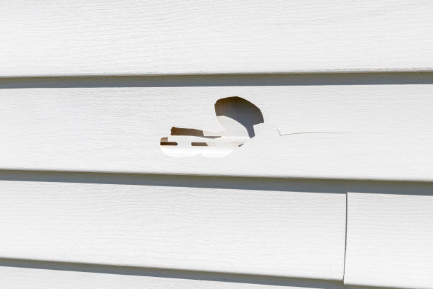 Siding Removal and Disposal in Columbus, MS